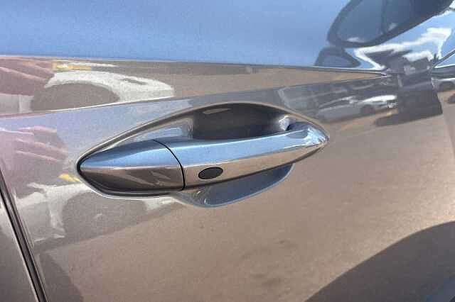 Hyundai TUCSON 1.6 TGDi Hybrid 230 Premium 5dr 2WD Auto