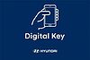 Hyundai KONA 160kW Ultimate 65kWh 5dr Auto [Lux Pack] Grey