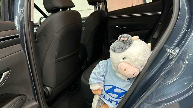 Hyundai TUCSON 1.6 TGDi Hybrid 230 Premium 5dr 2WD Auto Hybrid Estate