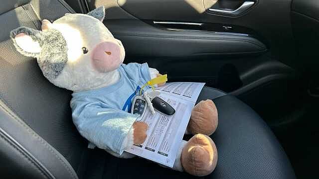 Hyundai TUCSON 1.6 TGDi Hybrid 230 Ultimate 5dr 2WD Auto Hybrid Estate White