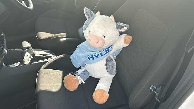 Hyundai BAYON 1.0 TGDi [120] 48V MHEV Premium 5dr DCT Petrol Hatchback